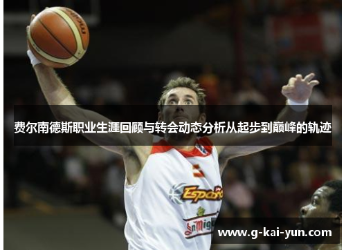 费尔南德斯职业生涯回顾与转会动态分析从起步到巅峰的轨迹 费尔南德斯职业生涯回顾与转会动态分析从起步到巅峰的轨迹