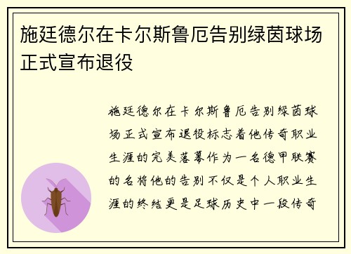施廷德尔在卡尔斯鲁厄告别绿茵球场正式宣布退役 施廷德尔在卡尔斯鲁厄告别绿茵球场正式宣布退役